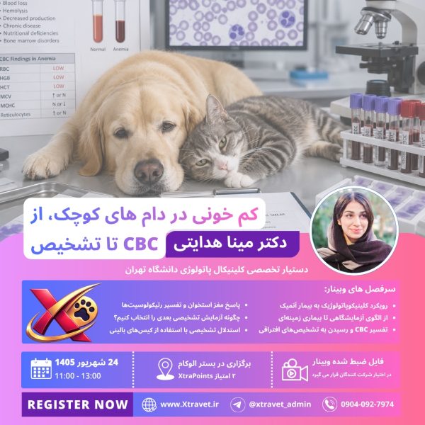 پوستر وبینار کم‌خونی در دام‌های کوچک؛ از CBC تا تشخیص با تدریس دکتر مینا هدایتی، ۲۴ شهریور ۱۴۰۵